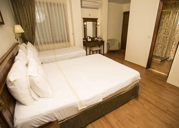 Golden Crown 3* Provincia di Istanbul